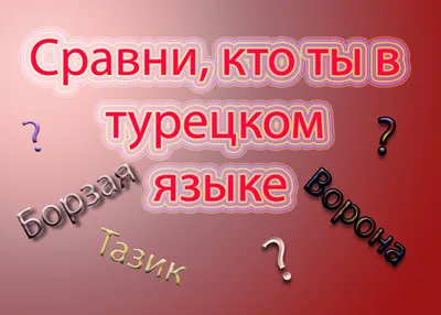 Турецкий разговорник для иностранцев (18 фото) » Невседома - жизнь полна  развлечений, Прикольные картинки, Видео, Юмор, Фотографии, Фото, Эротика.  Развлекательный ресурс. Развлечение на каждый день