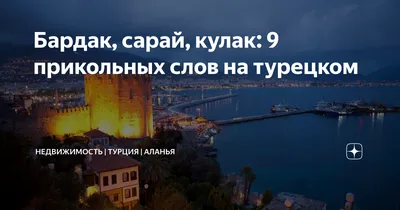 Тазик ты или борзая? Прикольные сравнения в турецком языке | Влюбленная в  Турцию | Дзен