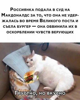 Юмор к окончанию рабочей недели