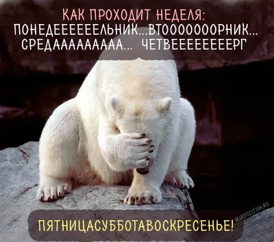 Отчёт главы городского округа Орехово‑Зуево о результатах своей  деятельности, деятельности администрации городского округа Орехово‑Зуево и  иных подведомственных ему органов местного самоуправления, в том числе о  решении вопросов, поставленных Советом ...