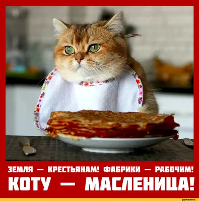 Масленица!!!!!!!