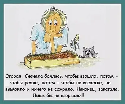 Дача огород / смешные картинки и другие приколы: комиксы, гиф анимация,  видео, лучший интеллектуальный юмор.