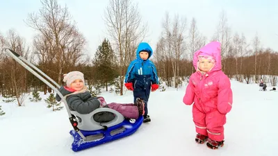 Первый день зимы 1 декабря 2020 - прикольные картинки, открытки - короткие  поздравления, смс - Апостроф