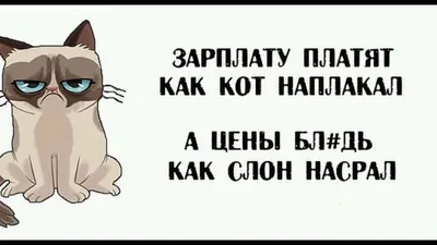 Прикольные картинки » Приколы, юмор, фото и видео приколы, красивые девушки  на кайфолог.нет