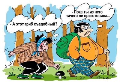 Магаданские грибники с 40-летним стажем дали пару советов новичкам /  Интересное / magSpace.ru