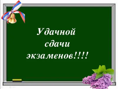 Самые необычные требования преподавателей перед экзаменом » Смешные  прикольные картинки, фото приколы, демотиваторы и видео приколы