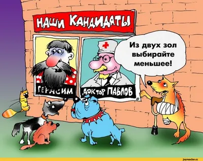 Как можно охарактеризовать прошедшие выборы на Украине? - Это был выбор без  выбора. / выборы :: песочница политоты :: Я Ватник (# я ватник, ) :: разная  политота :: политика (политические