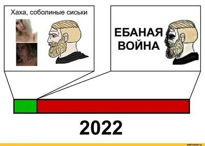 Выборы в Украине 2020 - фотожабы и смешные картинки на результаты  голосования - Апостроф