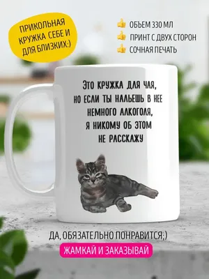 Играл с детьми, но остался жив и теперь передан любящей семье на  реабилитацию / всё хорошо :: Играл с детьми но остался жив :: котэ ( прикольные картинки с кошками) / смешные картинки