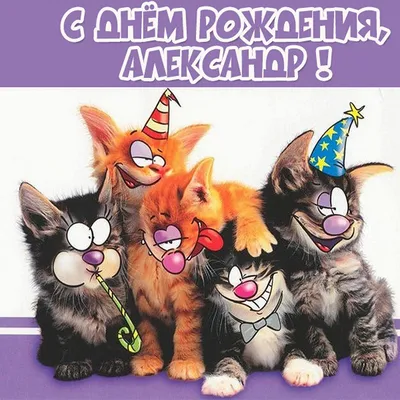 Смешные картинки \"С днем рождения, Саша\" (50 открыток)