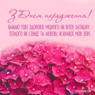 С днем рождения кум: картинки на украинском языке, стихи и проза — Украина