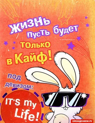Прикольная открытка с Днём Рождения мужчине \"Пусть жизнь будет только в  кайф..\" • Аудио от Путина, голосовые, музыкальные