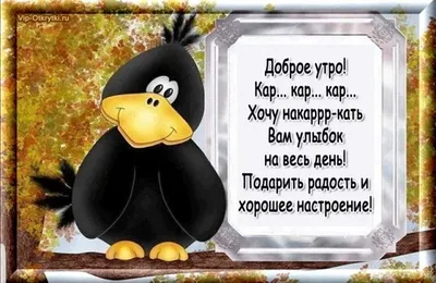 Прикольные картинки \"Доброе утро!\" (300 шт.) » Юмор, позитив и много  смешных картинок