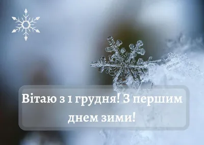 Картинки с Международным днем смеха: прикольные и смешные открытки к 1  апреля - МК Красноярск