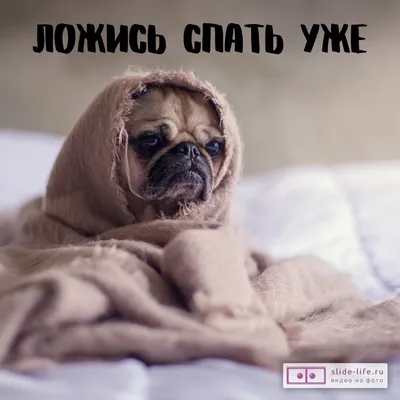 Открытка спокойной ночи детская — Slide-Life.ru