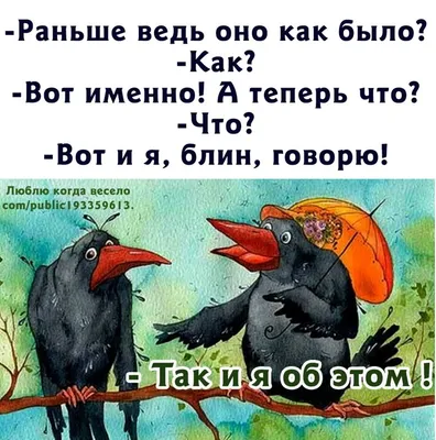 Прикольная наклейка на авто про СЕКС, Прикольная наклейка на авто, смешная  виниловая наклейка на машину, бесплатная доставка | AliExpress