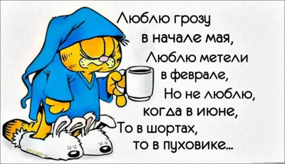 Прикольные афоризмы на все случаи жизни | Жизнь в стиле Ноль отходов (zero  waste) | Дзен