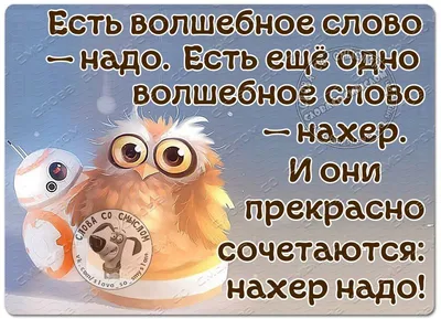 ПЕРЧИК - приколы, статусы, афоризмы - всегда хорошее настроение  добавил(-а)... - ПЕРЧИК - приколы, статусы, афоризмы - всегда хорошее  настроение