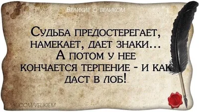 Угарные статусы ВК - 📝 Афоризмо.ru