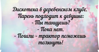 Смешные высказывания и картинки из социальных сетей