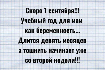 Прикольные картинки с надписями и одежда ко дню знаний | Mixnews