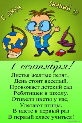 Шутки для взрослых к 1 сентября - что говорят в соцсетях про день знаний |  Сегодня