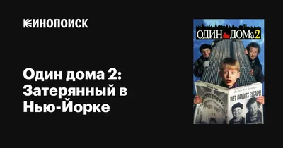 Один дома 2: Затерянный в Нью-Йорке, 1992 — описание, интересные факты —  Кинопоиск