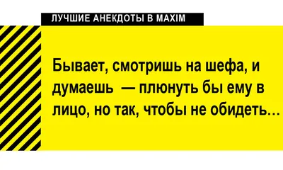 Приколы для руководителя проекта. Дарим доступ к онлайн-курсу за лучший  комментарий