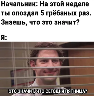 начальник штаба / смешные картинки и другие приколы: комиксы, гиф анимация,  видео, лучший интеллектуальный юмор.