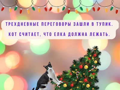 Топ-5 неожиданных фактов о бороде, которых ты не знаешь – Люкс ФМ