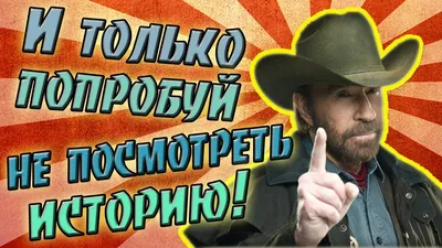 Чак норрис приколы картинки