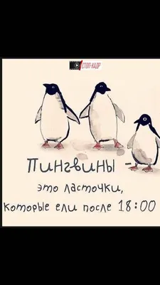 Табличка интерьерная - Всем доброе утро Заяц 40х30см., 40 см, 30 см -  купить в интернет-магазине OZON по выгодной цене (1133645582)