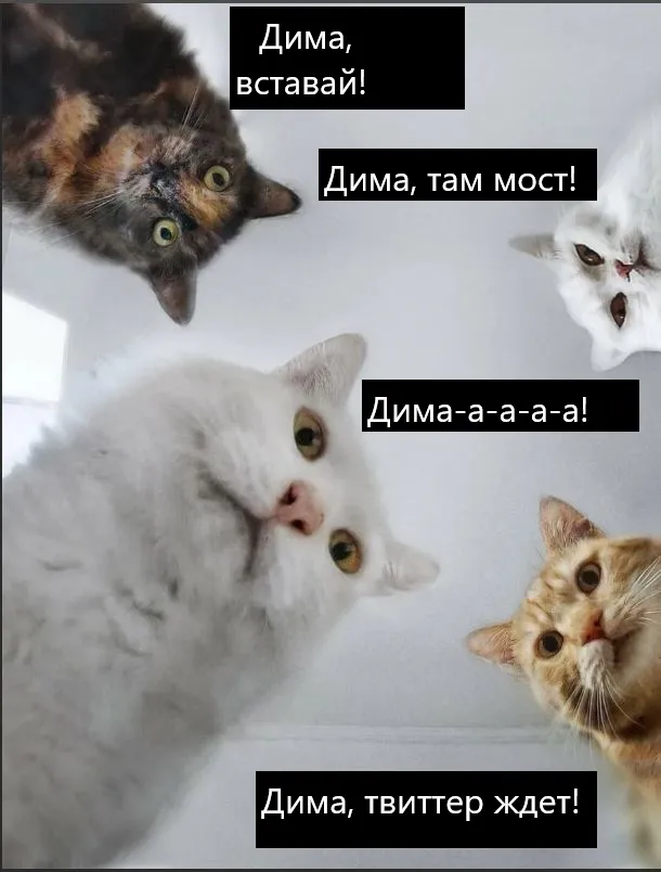 С днём рождения Дима! Поздравляю! #рек #дима #сднемрождения #рекоменда... | TikTok С днём рождения Дима! Поздравляю! #рек #дима #сднемрождения #рекоменда... | TikTok