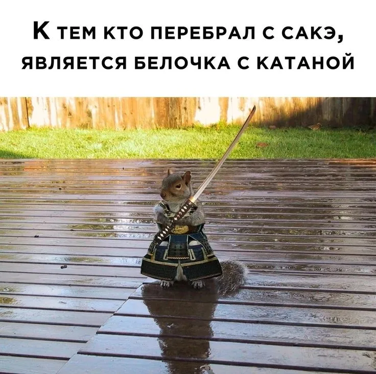 https://dzen.ru/a/ZcUf7vzQlArXhncG https://dzen.ru/a/ZcUf7vzQlArXhncG