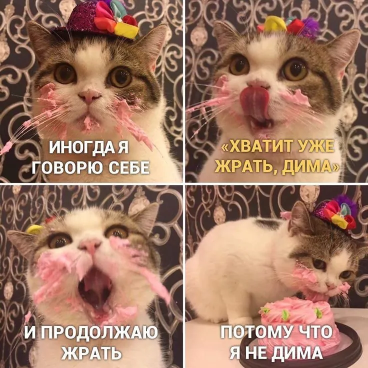 Кружка Дмитрий всегда прав - с проявление картинки от тепла | AliExpress Кружка Дмитрий всегда прав - с проявление картинки от тепла | AliExpress