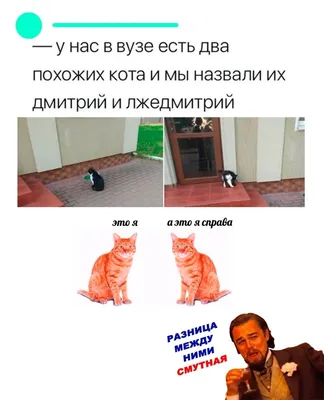Шутки про Гордона ещё не надоели?) | Пикабу
