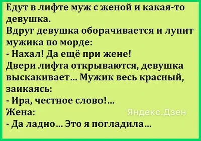 Это я на Мальдивах! Сейчас тут ночь - АйДаПрикол | Веселые мысли, Веселые  высказывания, Смешные открытки