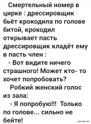 Анекдоты о медсестрах, новые приколы и шутки о медицине - Телеграф