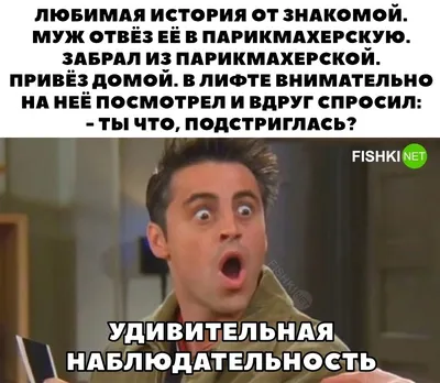 Эти приколы вас точно развеселят. Подборка смешных картинок | Роман Козлов  | Дзен