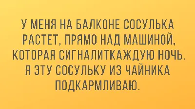 проскочил :: днище :: знаки :: водятел :: водитель :: автовладельцы ::  Прикольные картинки / смешные картинки и другие приколы: комиксы, гиф  анимация, видео, лучший интеллектуальный юмор.