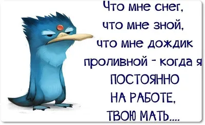 Картинки статусы про дождь прикольные (64 фото) » Картинки и статусы про  окружающий мир вокруг