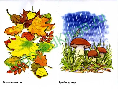 Осень в картинках. Наглядное пособие для педагогов, логопедов, воспитателей  и родителей - купить книгу в ЛогопедкКнига.ру