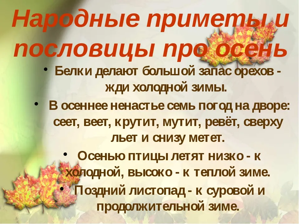 Приметы родных. Приметы осени. Осенние приметы для детей. Пословицы и приметы про осень. Приметы и поговорки про осень.