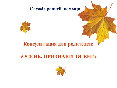 Золотая осень в детском саду | Муниципальное автономное дошкольное  образовательное учреждение Детский сад №40 города Челябинска