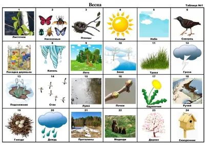 Конспект интегрированного занятия в старшей группе «Времена года - весна» с  использованием корректурно-развивающих таблиц