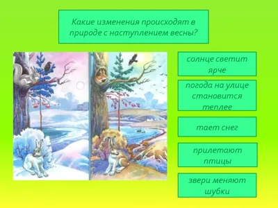 Комплект из 5 головоломок \"Овощи, фрукты, транспорт, ферма, времена года\",  пазл, разрезные картинки из дерева - купить с доставкой по выгодным ценам в  интернет-магазине OZON (1060077239)