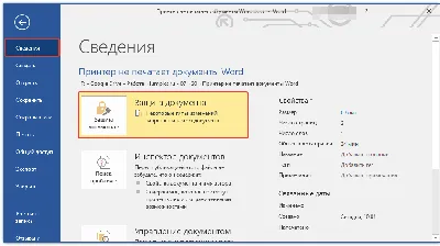 Принтер не печатает документы Word: 8 решений проблемы