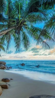 Картинка на айфон/картинка/картинка на аву/ красивая картинка | Beach  wallpaper, Beachy wallpaper, Summer backgrounds