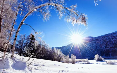 Доброе утро картинки зима природа - 68 фото