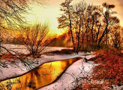 Прекрасны твои проявления, природа. И снегопад в марте как красивая  открытка, подписанная «До скорых встреч» | Instagram